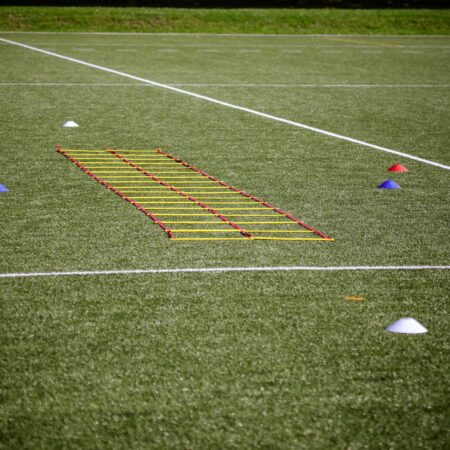 Sports Training Cones (Pack of 50)