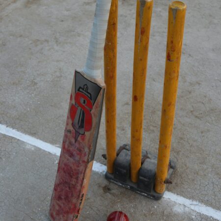 Cricket Bat (Full Size)